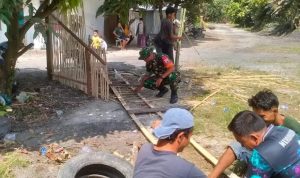 IMG-20240815-WA0351_copy_972x546