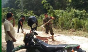 IMG-20250925-WA0320_copy_759x638