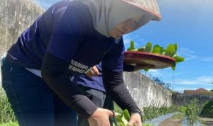 IMG-20251004-WA0211_copy_864x667