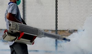 IMG-20251010-WA0215_copy_1098x945