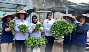 IMG-20251014-WA0218_copy_881x545