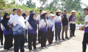 IMG-20251101-WA0199_copy_981x507