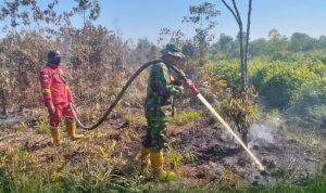 IMG-20251101-WA0207_copy_1487x809